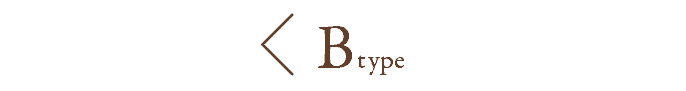 Btypeへ